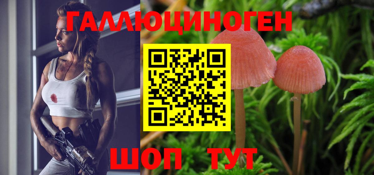 Куйбышев  Псилоцибиновые грибы Psilocybine cubensis  Вход с VPN 